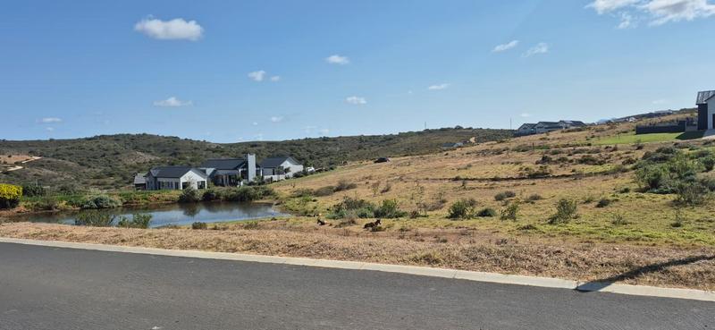 0 Bedroom Property for Sale in Outeniquasbosch Western Cape